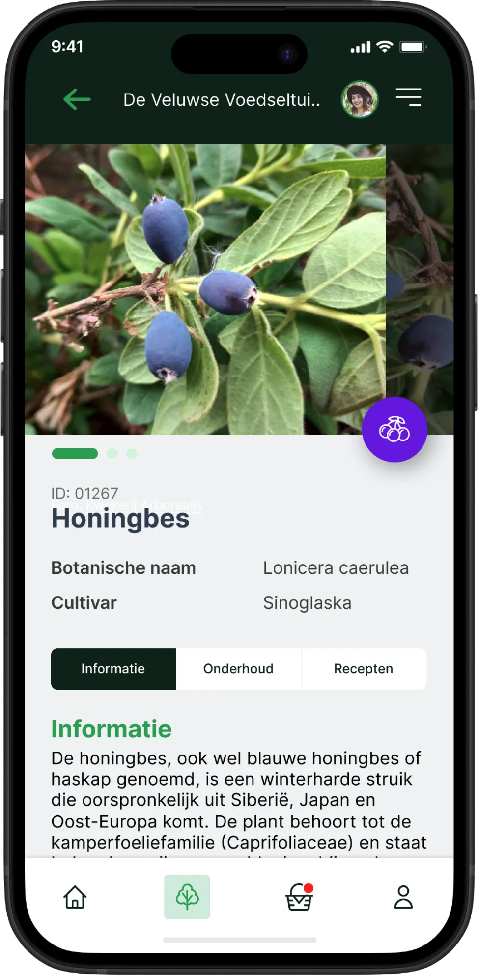 De gewaspagina van de honingbes met botanische naam en cultivar