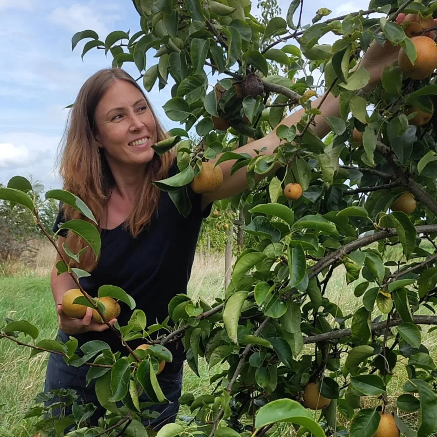 Een vrouw plukt fruit in een voedselbos