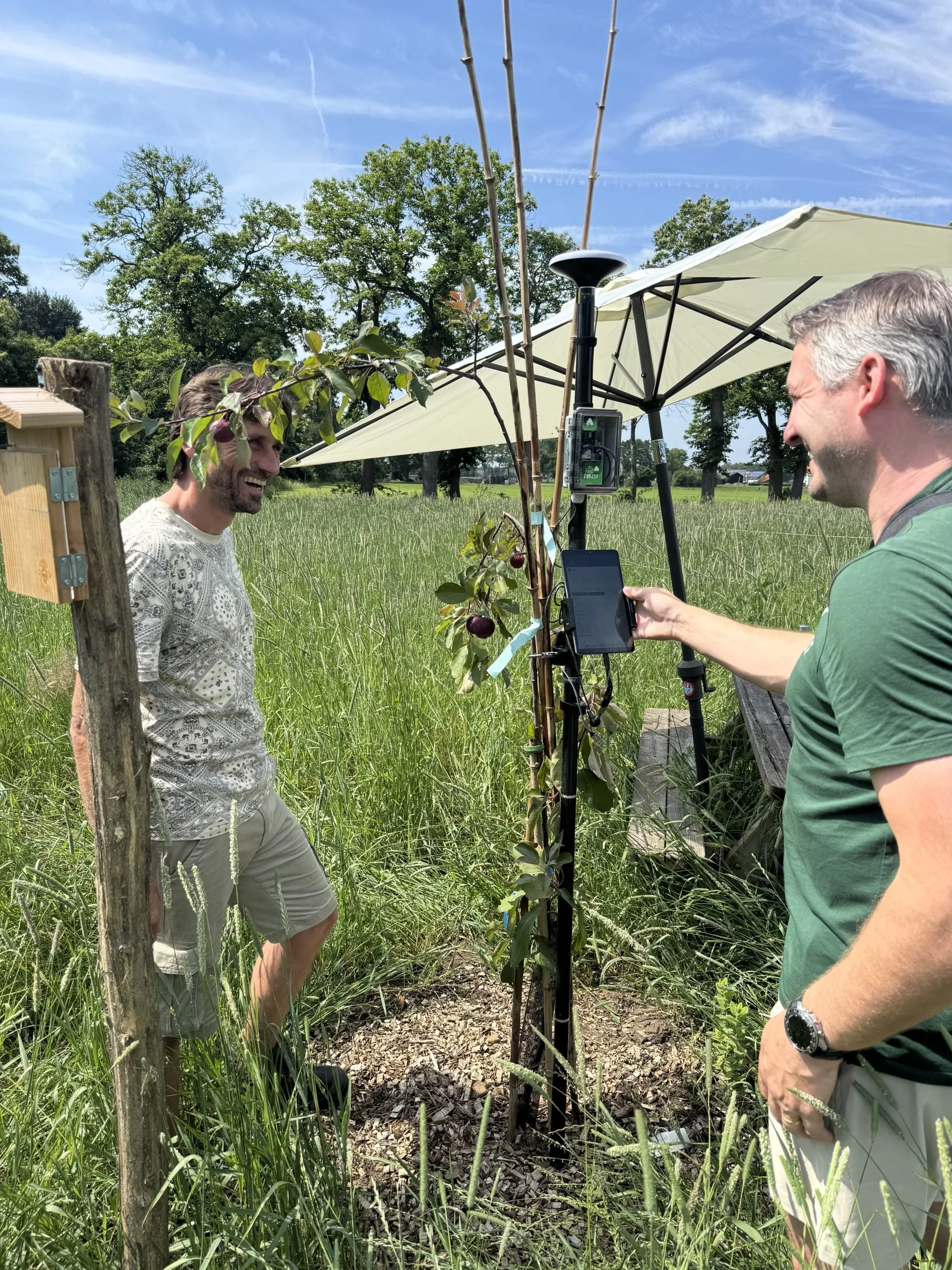 Het prototype van de My Food Forest GPS op een paal naast een jonge boom, met een tablet waarop de app draait