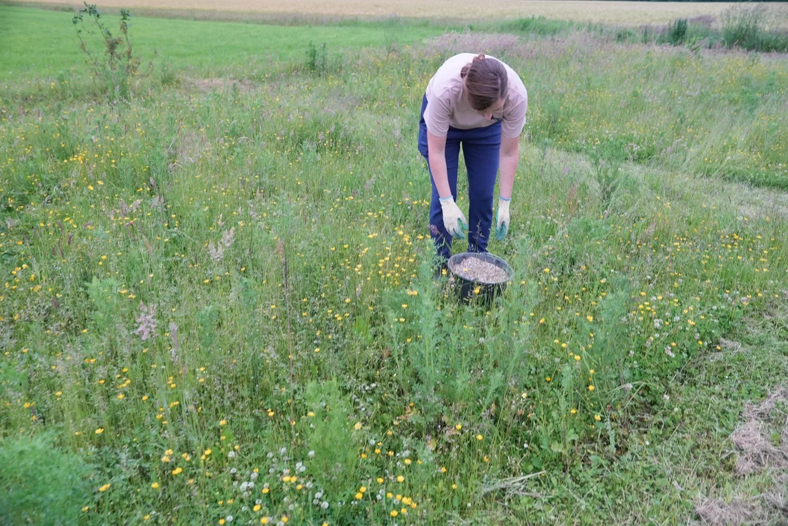 Iemand strooit schelpengruis uit een emmer in een weiland vol gras en boterbloemen