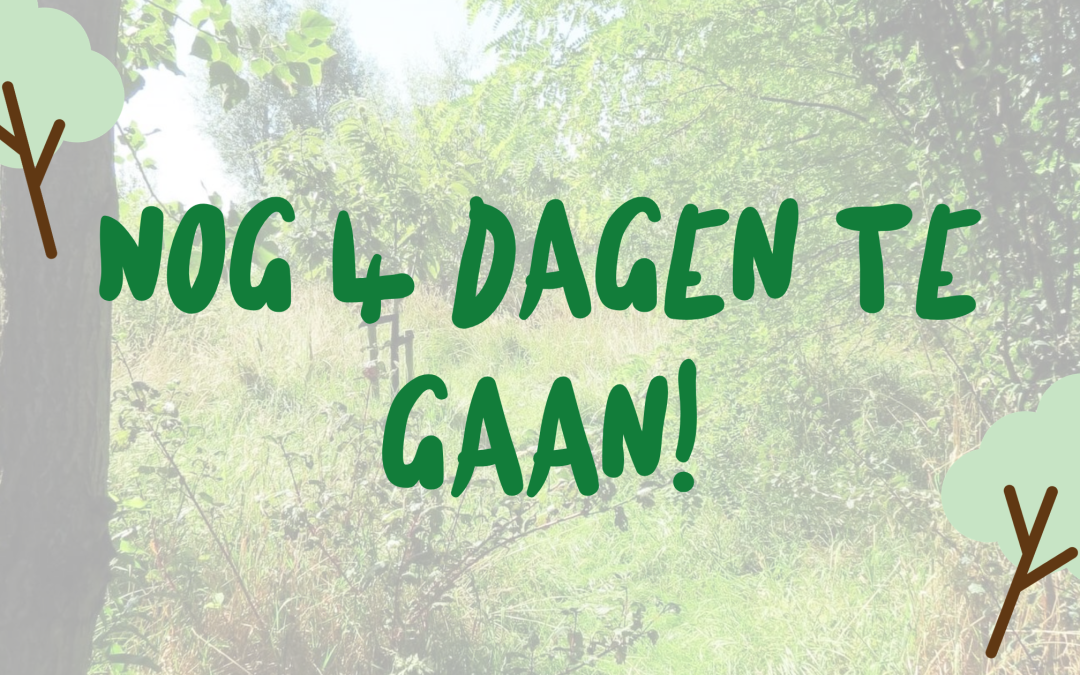 Het is bijna zover: de Pre-Release gaat van start! 🌳